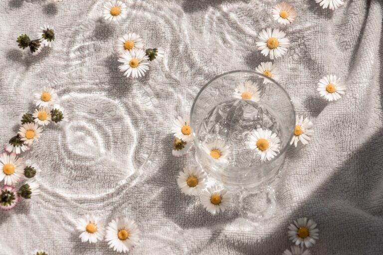 7 Tips on How to Develop Your Own Unique Social Media Aesthetic