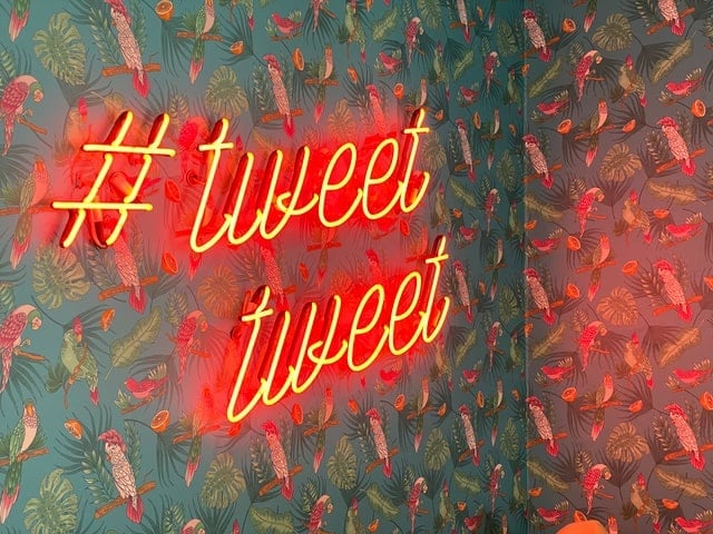 How to Use Twitter for Beginners: 15 Tips for Success!