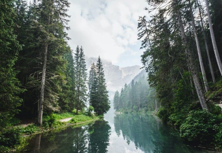 8 Examples of What Qualifies As Evergreen Content - and 10 Examples of What Doesn't